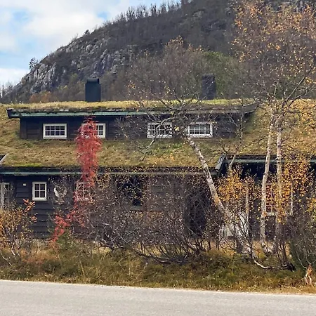 10 Person In Hovden-by Traum 霍夫登